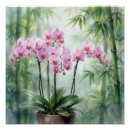 Buscar orquídeas verdes posters General y unisex