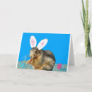 Buscar conejo de rabo blanco Tarjeta
