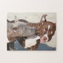 Buscar mi pitbull juguetes Perros