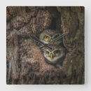Buscar owl relojes de pared Bosques