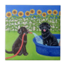 Buscar labrador negro azulejos Divertido