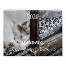 Buscar gatitos calendarios Amante de los gatos