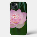 Buscar agua lilly Rosa