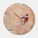 Buscar cuello imanes Naturaleza