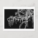 Buscar planta de hielo postales Naturaleza