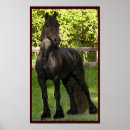 Buscar friso posters Caballos