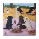 Buscar labrador negro azulejos Divertido