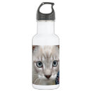 Buscar ojos agua botellas Gatito
