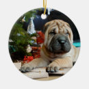 Buscar shar pei adornos Lindo
