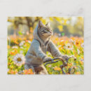 Buscar sudadera con capucha postales Gato