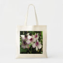 Buscar orchidee Orquídea