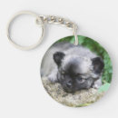 Buscar perro de roca llaveros Chihuahua