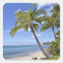 Buscar palmeras de hawaii pegatinas Vacaciones