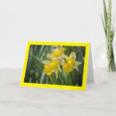 Buscar cuñada feliz del día madre de tarjetas Hermana