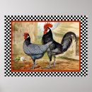 Buscar granja de pollo arte 1 ᵉʳ hembra