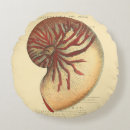 Buscar conchas cojines Océano