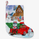 Buscar siberiano calcetines navideños Navidades