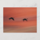 Buscar nueva vida postales Abstracto