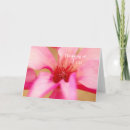 Buscar árbol de tulipán tarjetas Magnolia