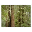 Buscar monumento nacional fotografía Bosque