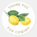 Buscar limones pegatinas Acuarela