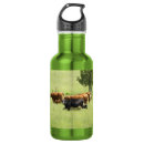 Buscar vacas agua botellas 1 ᵉʳ explotación