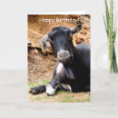 Buscar barbas tarjetas General y unisex