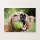 Buscar pelota de tenis puzzles Animal