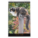 Buscar felino calendarios Fotografía