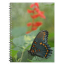 Buscar delicado libretas Simple
