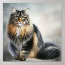 Buscar angora posters Adorable