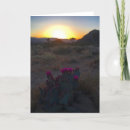 Buscar joshua tarjetas Cactus