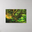 Buscar arce japonés lienzos Portland