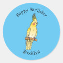 Buscar cockatiel pegatinas Loro