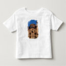 Buscar gaudí camisetas España
