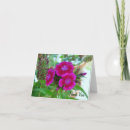 Buscar williams tarjetas Para todos