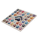 Buscar pata del perro azulejos Perrito