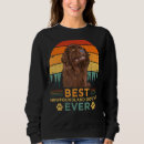 Buscar terranova sudaderas Retro