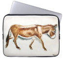 Buscar del burro fundas Animal