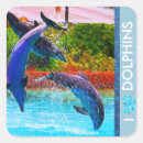 Buscar imagen del delfín postales Delfines