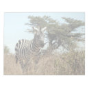 Buscar tanzania fotografía Cebra