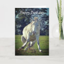 Buscar pony tarjetas Ecuestre