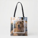 Buscar golden retriever accesorios Foto