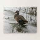 Buscar gotas de agua puzzles General y unisex