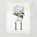 Buscar hydrangeas postales Para ellos