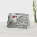 Buscar raras tarjetas Divertido