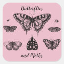 Buscar mariposas y polillas pegatinas Naturaleza