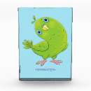 Buscar parakeet Budgie