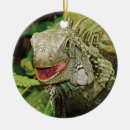 Buscar iguanas adornos Iguana verde