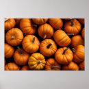 Buscar calabazas de halloween posters Cosecha